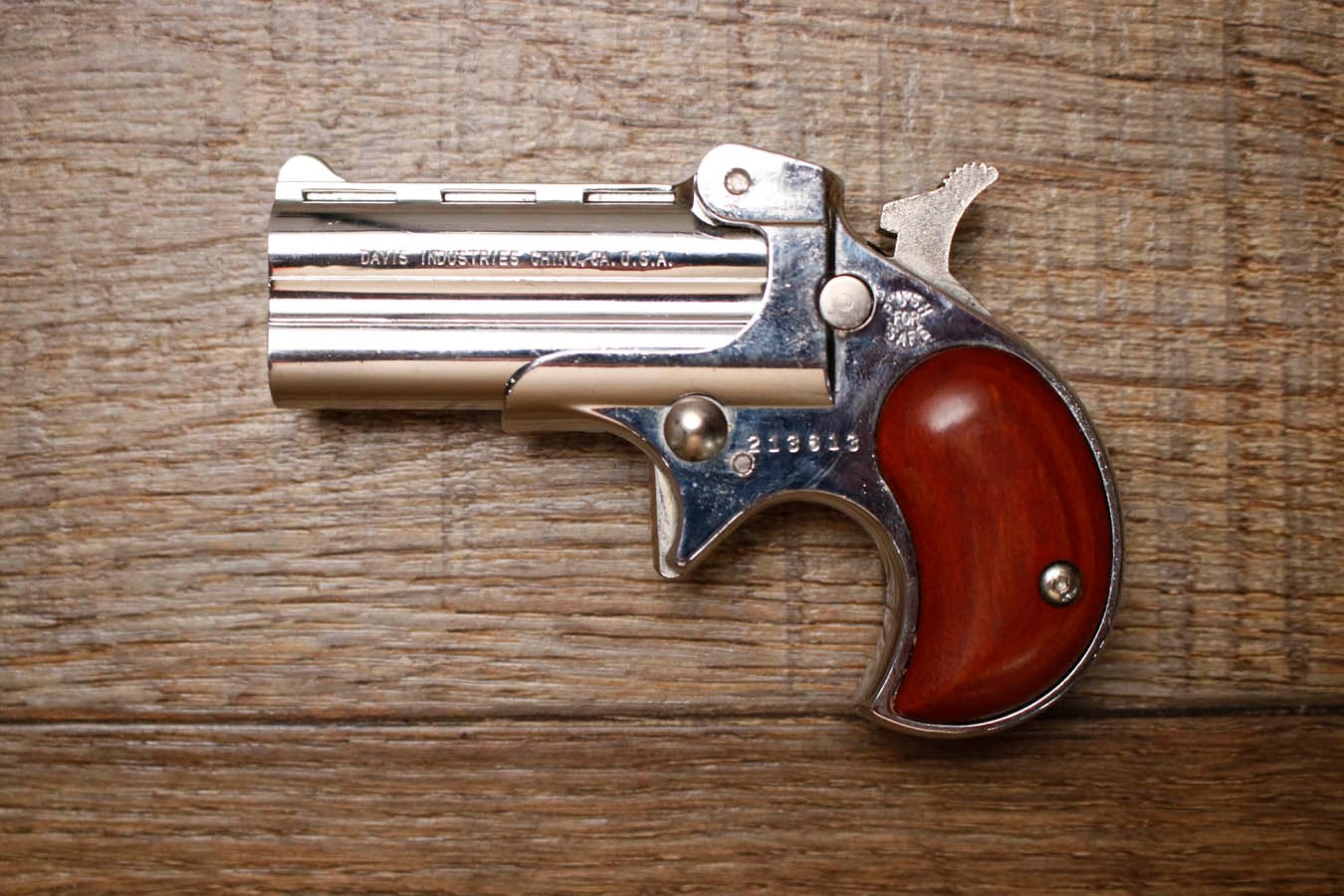 Davis Industries DM-22 22 WMR Police Trade-In Pistol