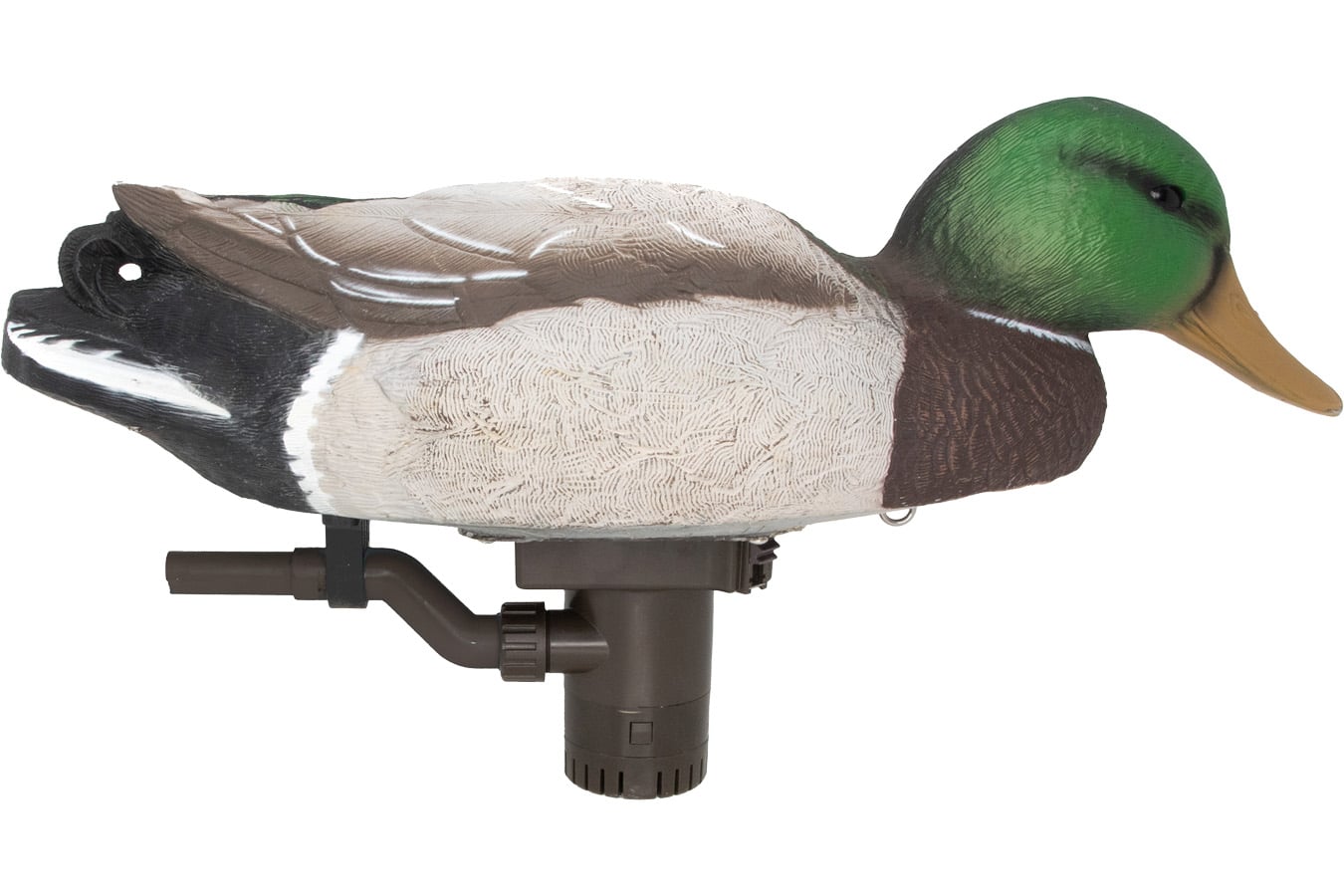 Higdon Mallard Battleship Swimmer Mallard Drake Species