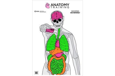 ACTION TGT ANATOMY TRNG 100PK