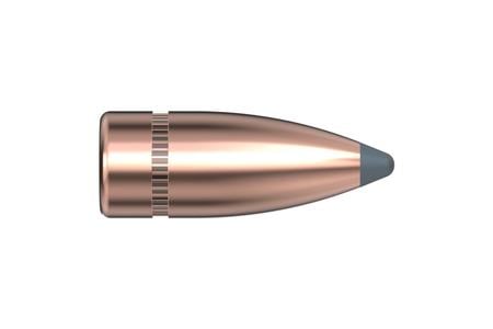7.62 CAL .310 123 GR SP