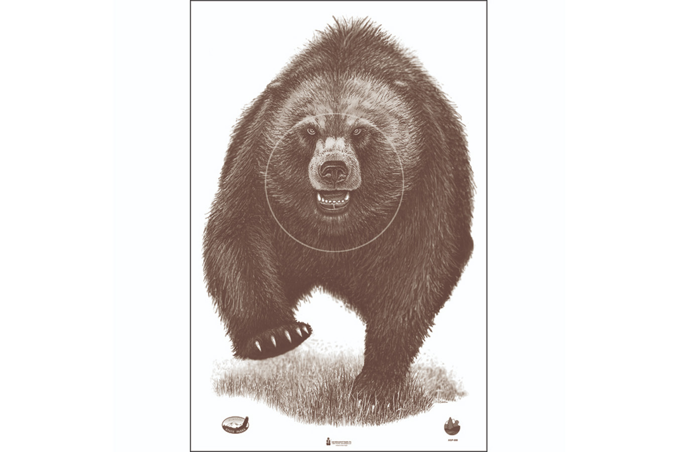 Action Target Alaska State Parks Bear Target 100 Pack