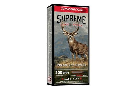 S300SBC 300WSM 195GR BC MAX