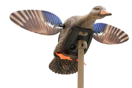 MOJO HW2471   ES MINI MALLARD HEN