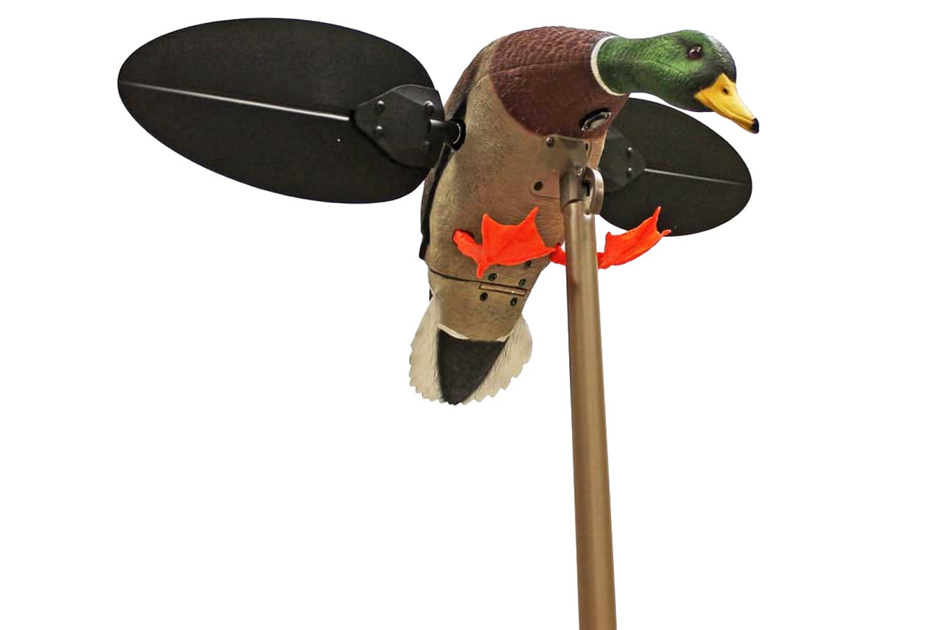 Mojo Outdoors Mallard Drake Decoy