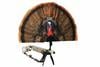 MOJO OUTDOORS MOJO HW2453   TAIL CHASER MAX