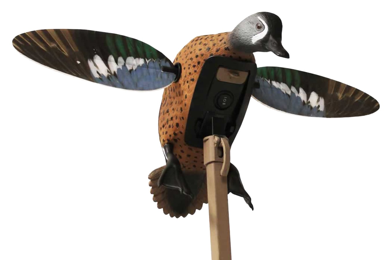 MOJO OUTDOORS MOJO HW2475   ES BW TEAL
