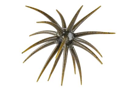MAXSCENT MOEBA