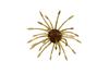 Color: GRNPUMPPRPLCOPPER
