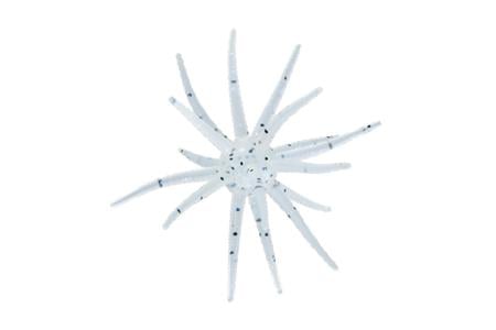 ORBIX 19MM