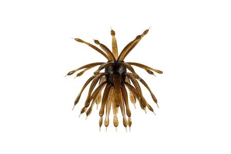 ABSTRACT URCHIN BAIT 12MM