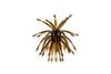 Color: GILLDUST