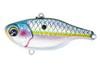 Color: SCALEDAMERICANSHAD