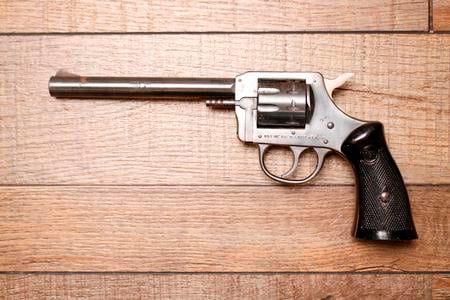 929 22LR USED