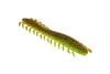Color: GILLPICKLE