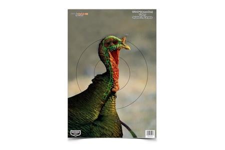 B/C PREGAME TURKEY TGT 8-12X18