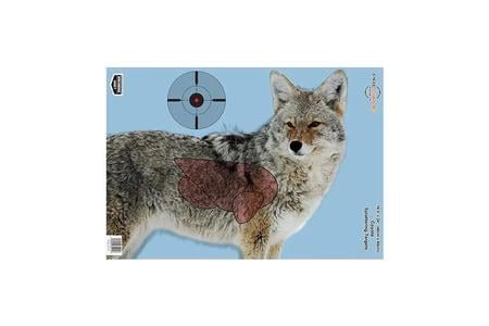 B/C PREGAME COYOTE TGT 3-16.5X24