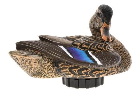AVIAN AVX-PSH-MHPR  POWER SHAKER/MALLARD HEN PRNR