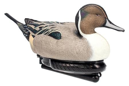 AVIAN AVX-PSW-PNSW  POWER SWIMMER PINTAIL DRAKE