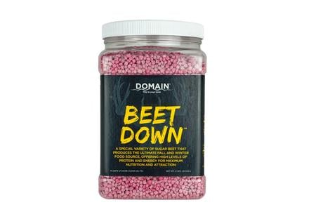 DOMAIN BDFP2       BEET DOWN