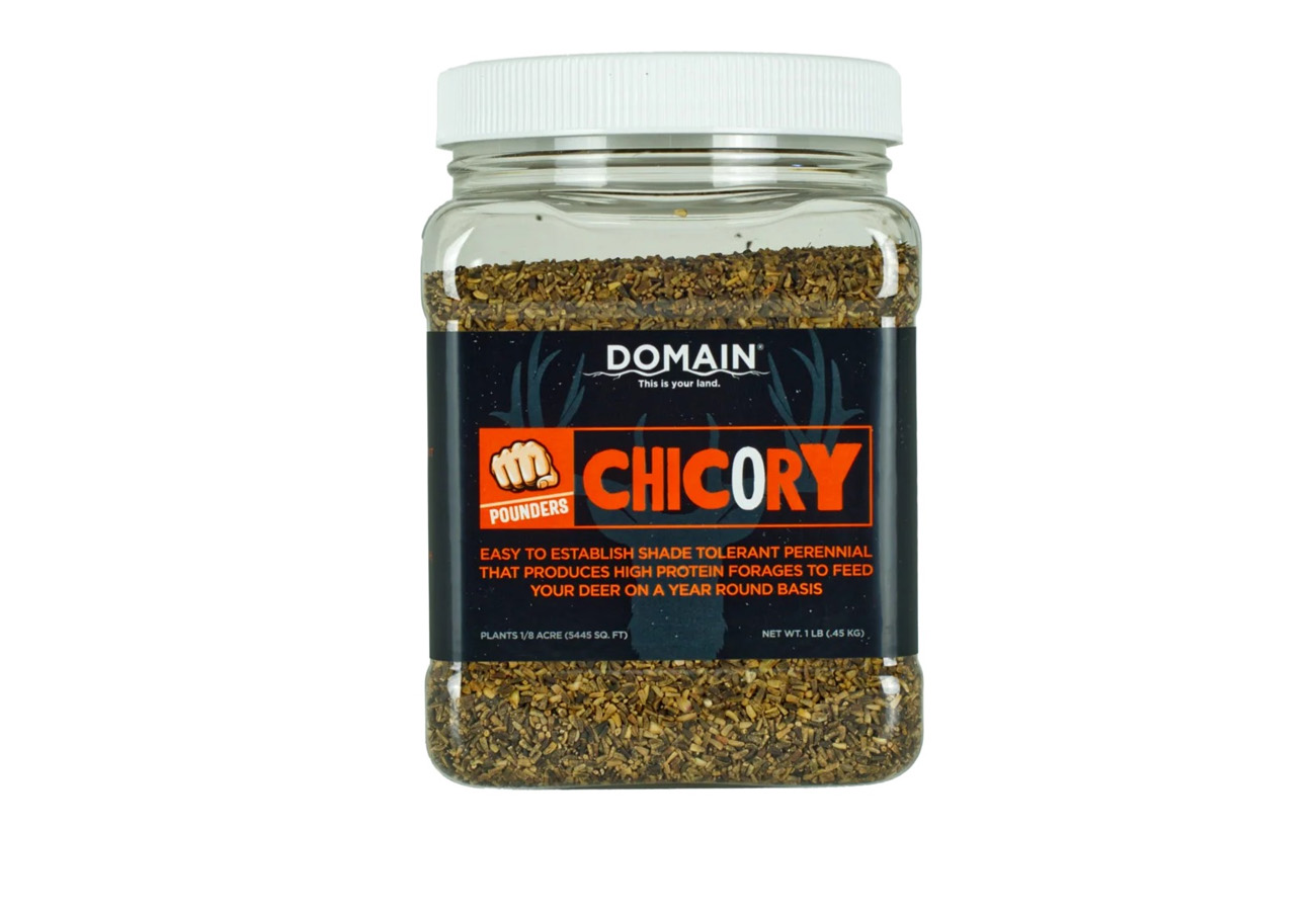 Domain Outdoors Pounder Chicory Seed