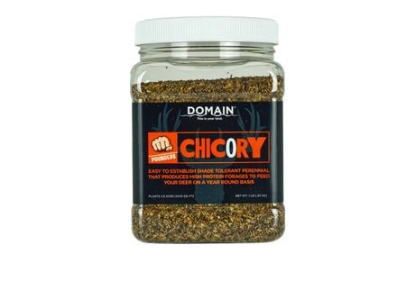 DOMAIN DCS1LB      POUNDER - CHICORY