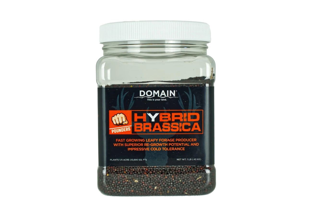 Domain Outdoors Pounder Hybrid Brassica Seed