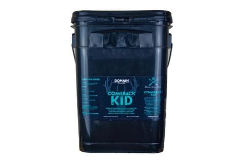 DOMAIN CBKFP375    COMEBACK KID