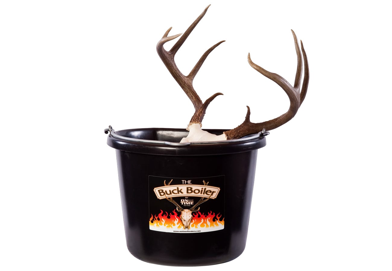 On Time Feeder Buck Boiler European Skull Mount Processor 4 Gallon