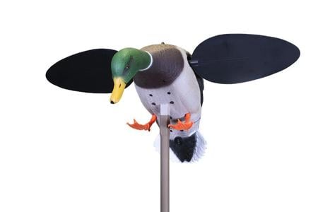 MOJO BABY 2.0 DRAKE (SLA ONLY)