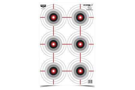 BIR 37063          EZESCORER 12X18 MLT BLLEYE 100P