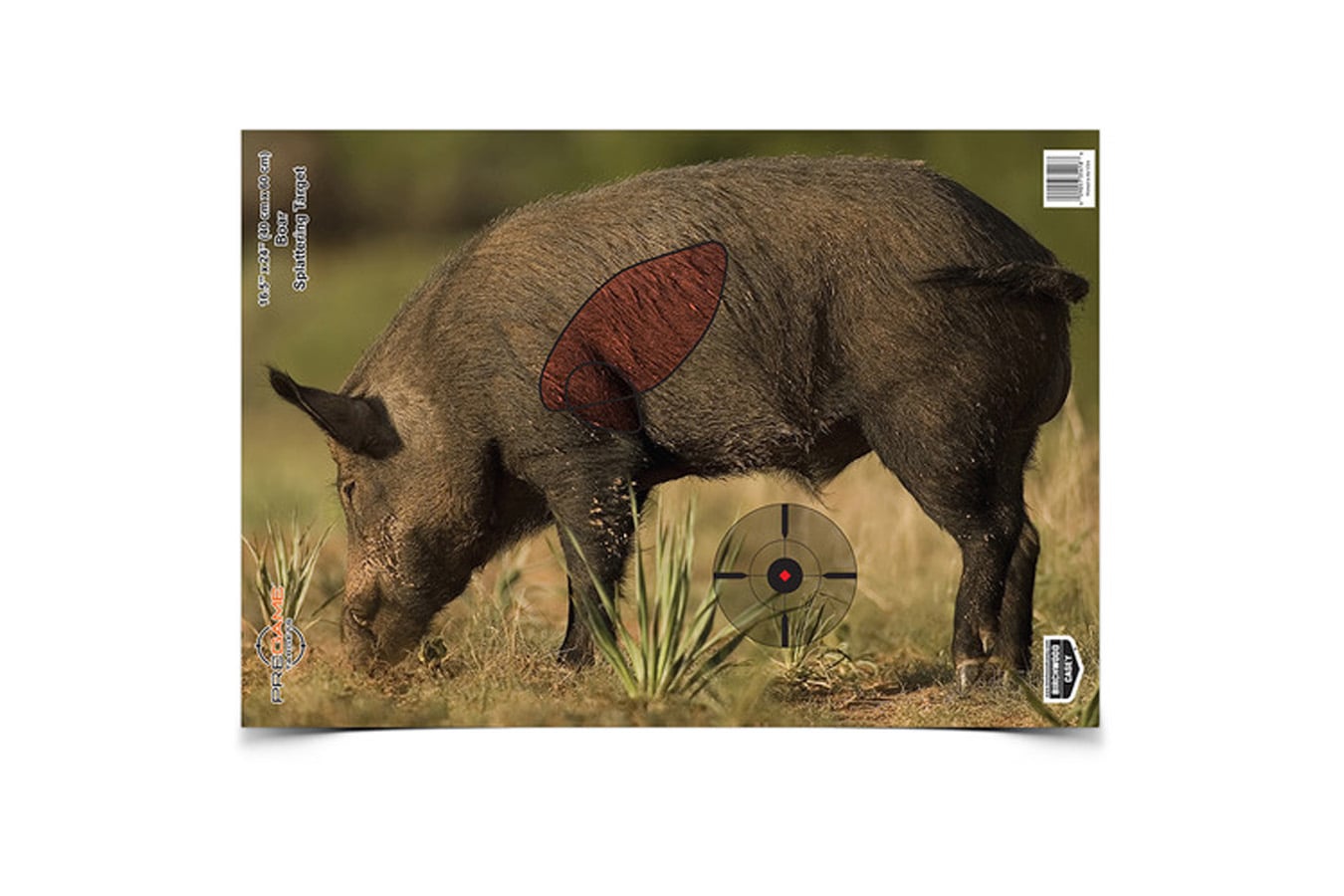 Birchwood Casey Pregame Boar Targets – 3 Pack