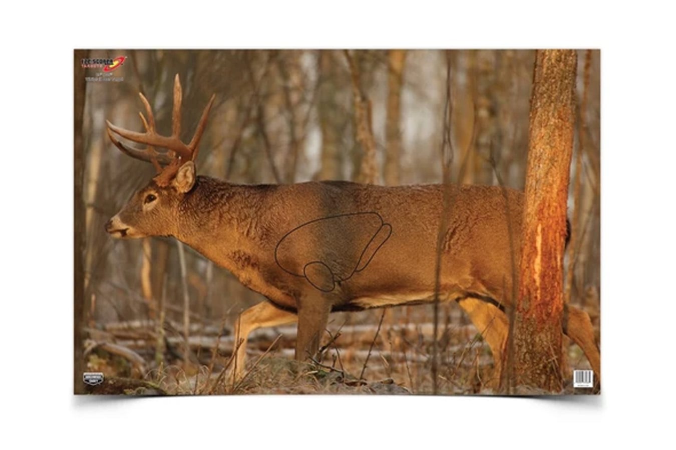 Birchwood Casey EZE-Scorer Whitetail Deer Targets – 2 Pack