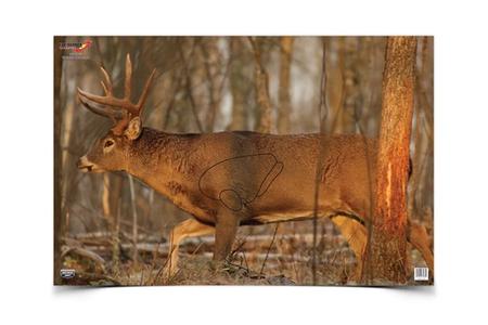 BIR 37481          EZESCORER 23X35 WHTETL DEER 2PK