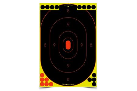 BIR 34603          SHOOT-N-C 12X18 SILHOUETE 100PK