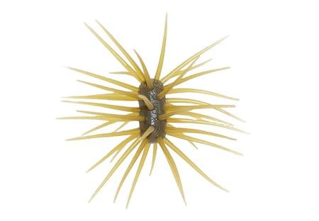 YEN 33MM X 15MMASHI URCHIN STYLE BAIT, 42 LEGS