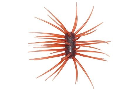 YEN 33MM X 15MM ASHI URCHIN STYLE BAIT, 42 LEGS