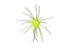 Color: CHARTREUSEFLASH