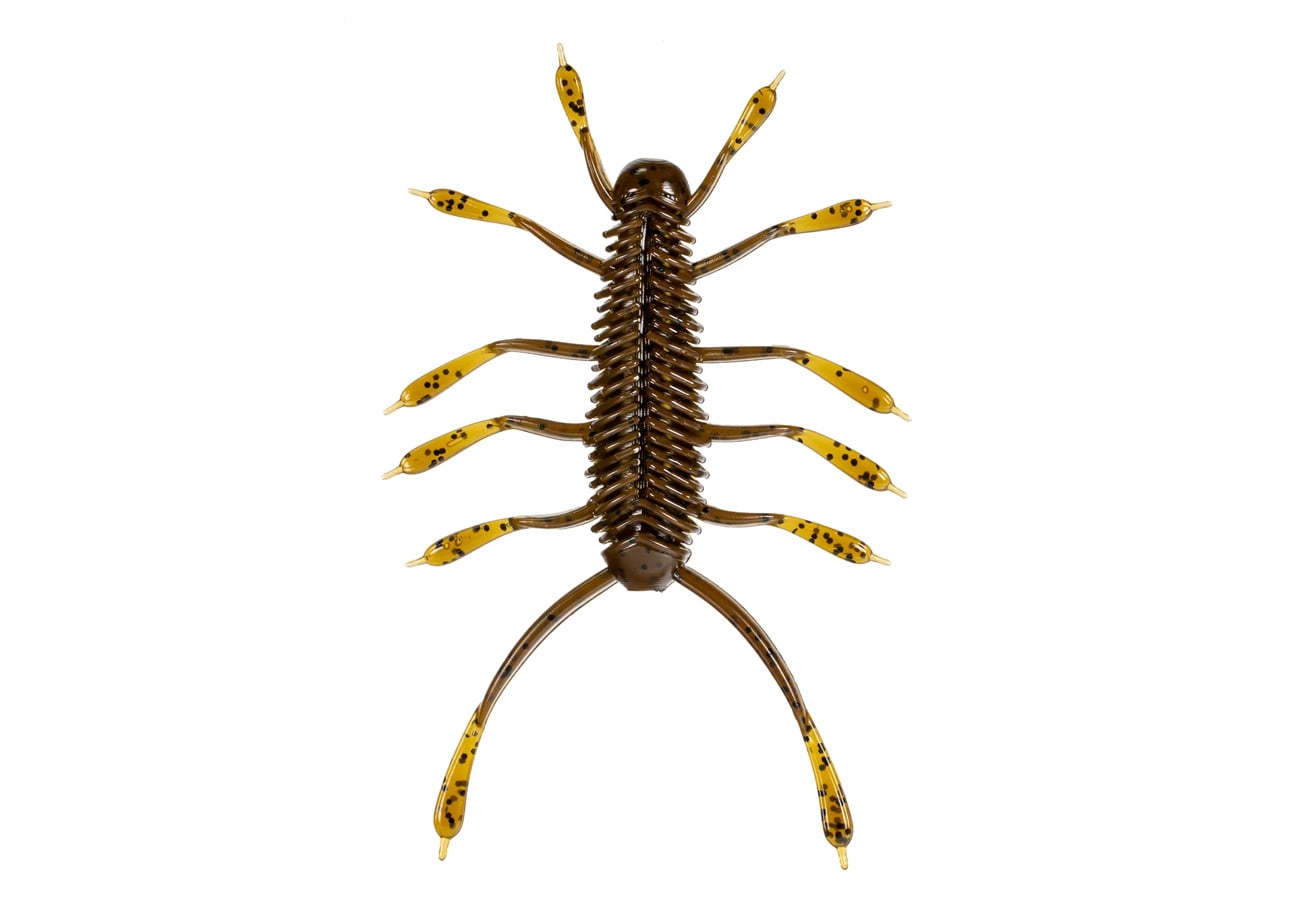 6th Sense Huzzbug