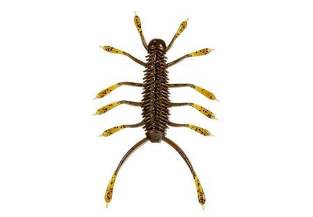 HUZZBUG