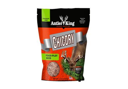 ANTLER KING CHICORY 1# BAG PERENNIAL 1/4 ACRE