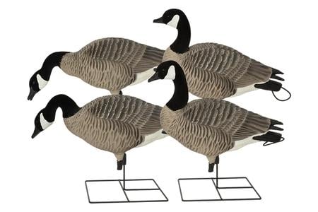 Banded Pro-Grade XD Series Full-Body Honker Goose Decoys  4-Pack - Banded