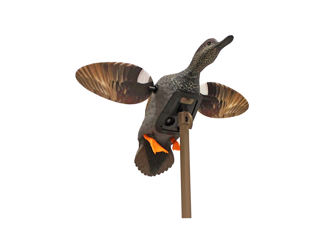 Mojo Outdoors Elite Series Gadwall Duck Decoy