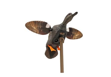 MOJO HW2473-3P   ES GADWALL