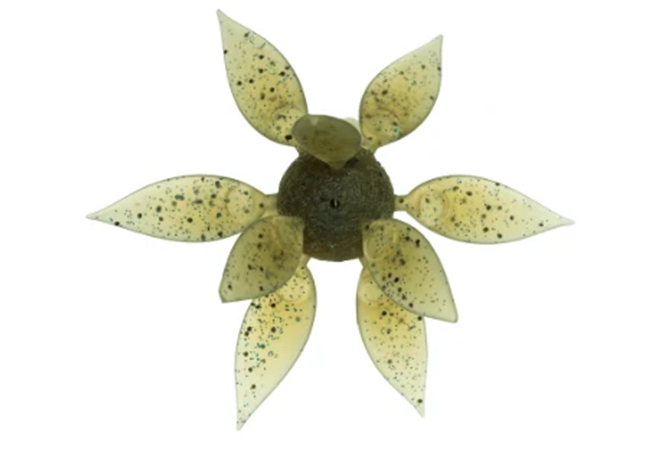 Hideup Coike Fish Gill Urchin Creature Bait
