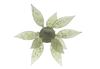 Color: GREENGILL