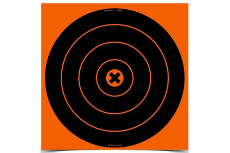  BIG BURST TARGETS 12 IN. 3 PACK