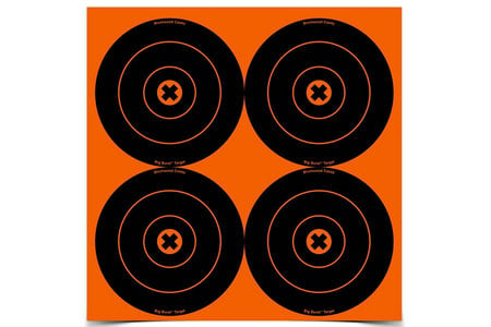 BIG BURST TARGETS 6 IN. 12 PACK