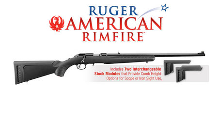 AMERICAN RIFLE 22LR WITH RED FIBER OPTIC
