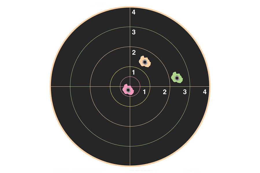 CHAMPION TARGET COMPANY VISICOLOR 8 BULLSEYE (10/PK)