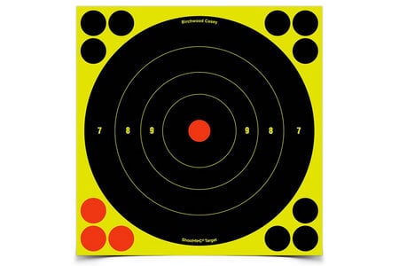 BIRCHWOOD CASEY Shoot-N-C Self-Adhesive 8 inch Targets (30 Pack)